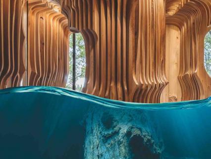 Forêts submergées, impact zéro : Triton réinvente le bois tropical