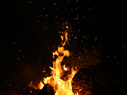 Organisation et logistique : optimiser vos approvisionnements en pellets