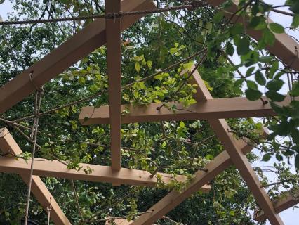 Construire avec le végétal