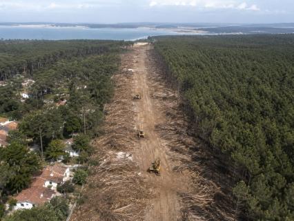 Mégafeu en Gironde : le pare-feu du Cap-Ferret devant la justice