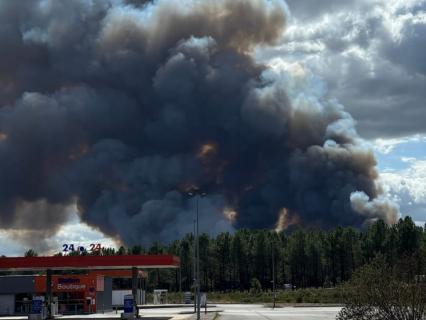 Un feu parti d’un parc photovoltaïque ravage 190 hectares dans les Landes
