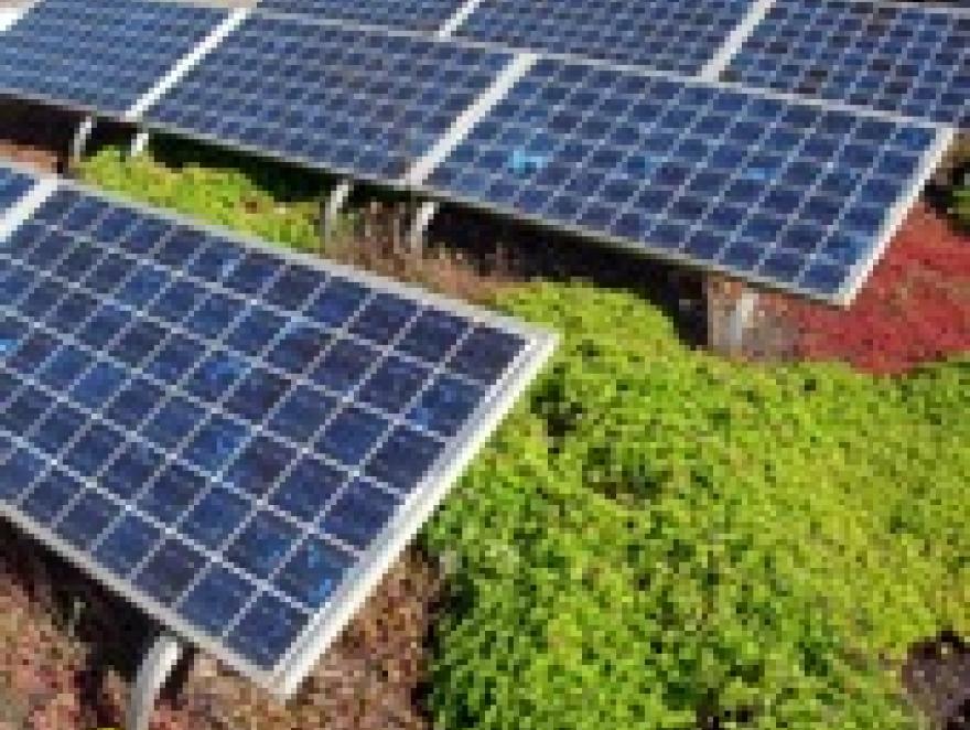 Solaire photovoltaïque : pour vos clients qui ont de l’énergie à revendre !