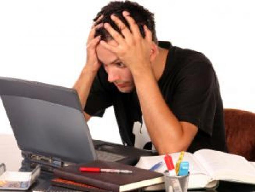 Autoentrepreneurs : droit à la formation confirmé