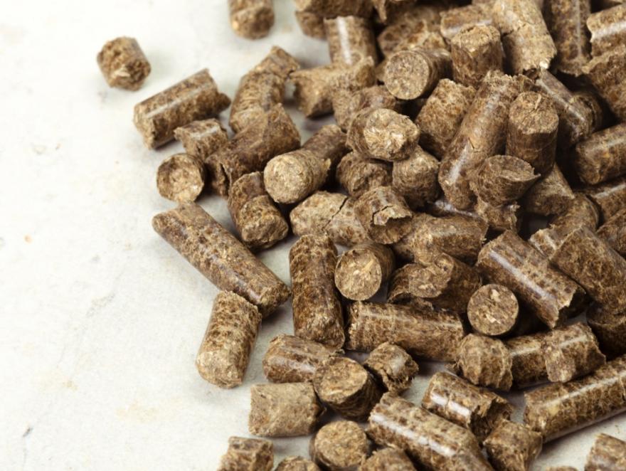 Ruée sur les granulés de bois de chauffage en France par crainte de pénurie énergétique