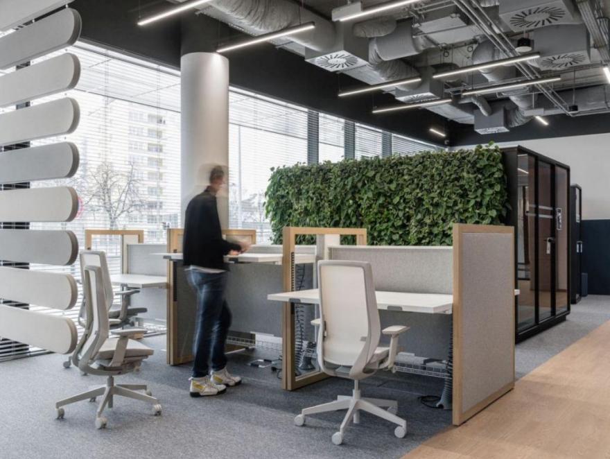 Les plantes au bureau. Comment un bureau vert influence-t-il les performances des employés ?