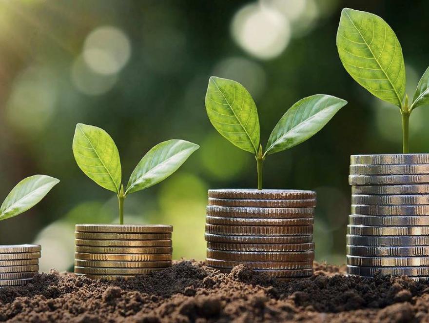 Plan épargne avenir climat : épargner, oui, mais épargner vert !