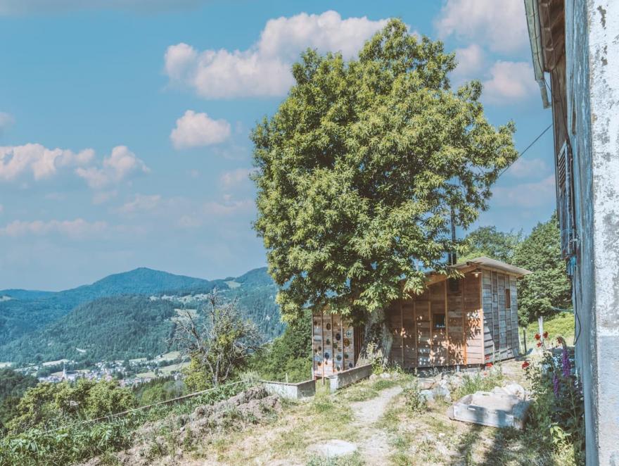 Construire en bois au plus près de la ressource