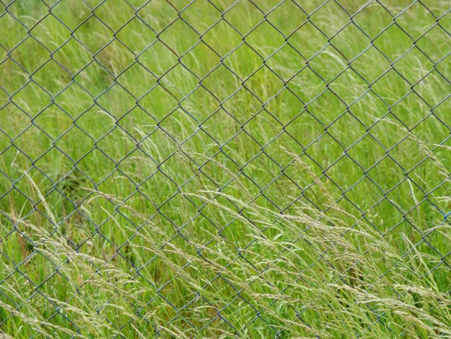 Clôturer un terrain agricole : conseils et solutions pratiques pour les exploitations