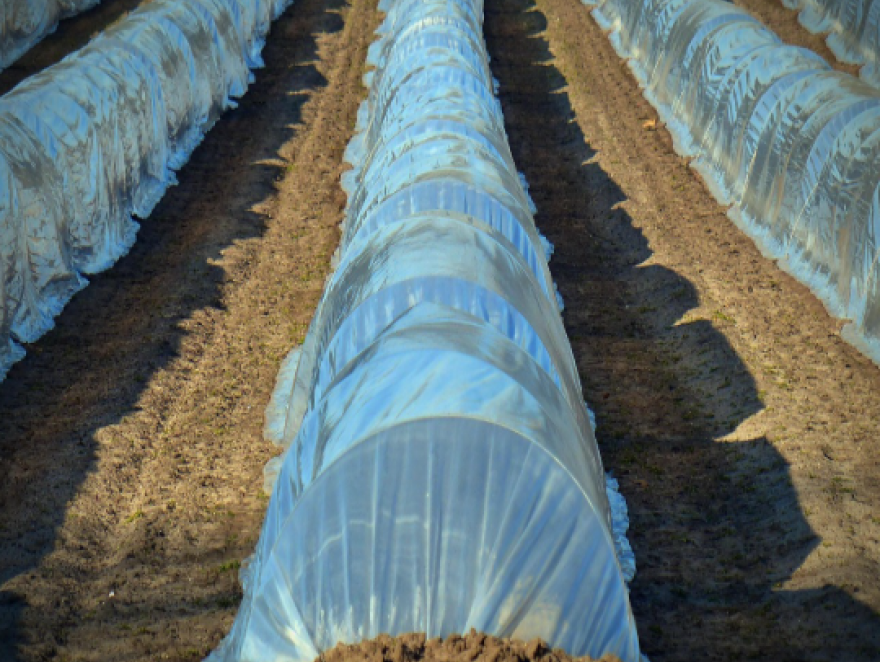 Les avantages d'une bâche sur mesure par rapport aux bâches standard