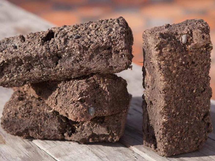 Les bio troncos : et si vous vous chauffiez avec des bûches à base de fruits ?