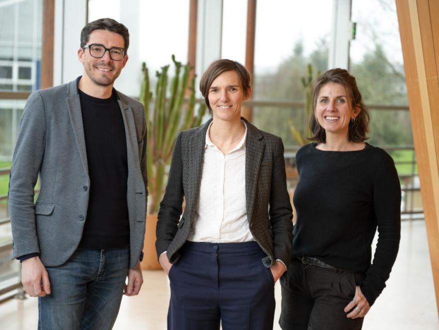 Filière forêt-bois : Aurélie Tricoire nommée à la tête de l’École supérieure du bois