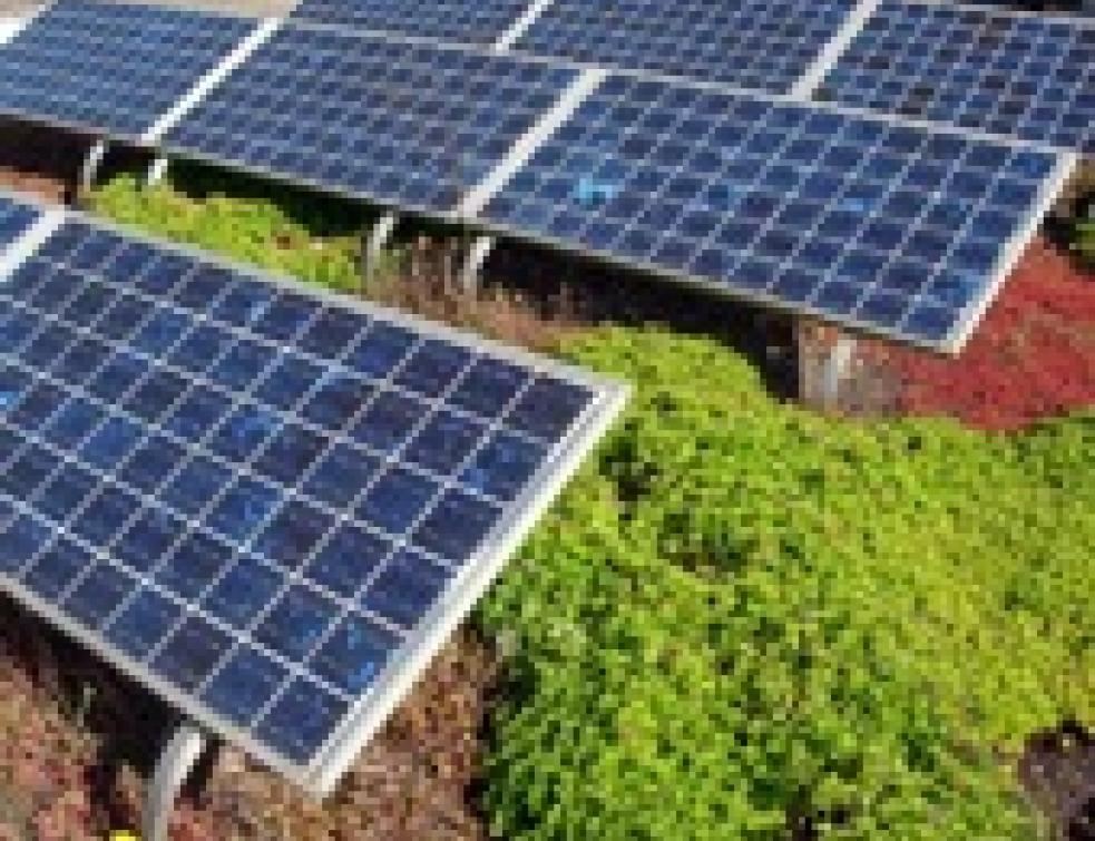 Solaire photovoltaïque : pour vos clients qui ont de l’énergie à revendre !