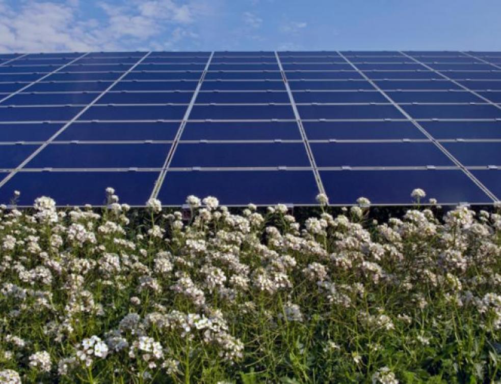 Une nouvelle centrale photovoltaïque de 3,5 MW dans le Gard