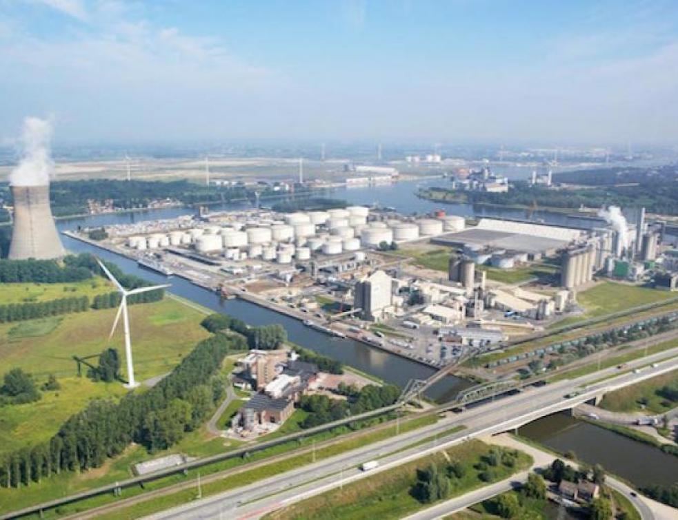Quand la Belgique parie sur la biomasse... en masse