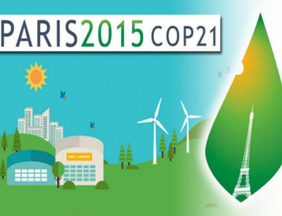 COP21(2/3) : Quelles vertus pour le bois ?