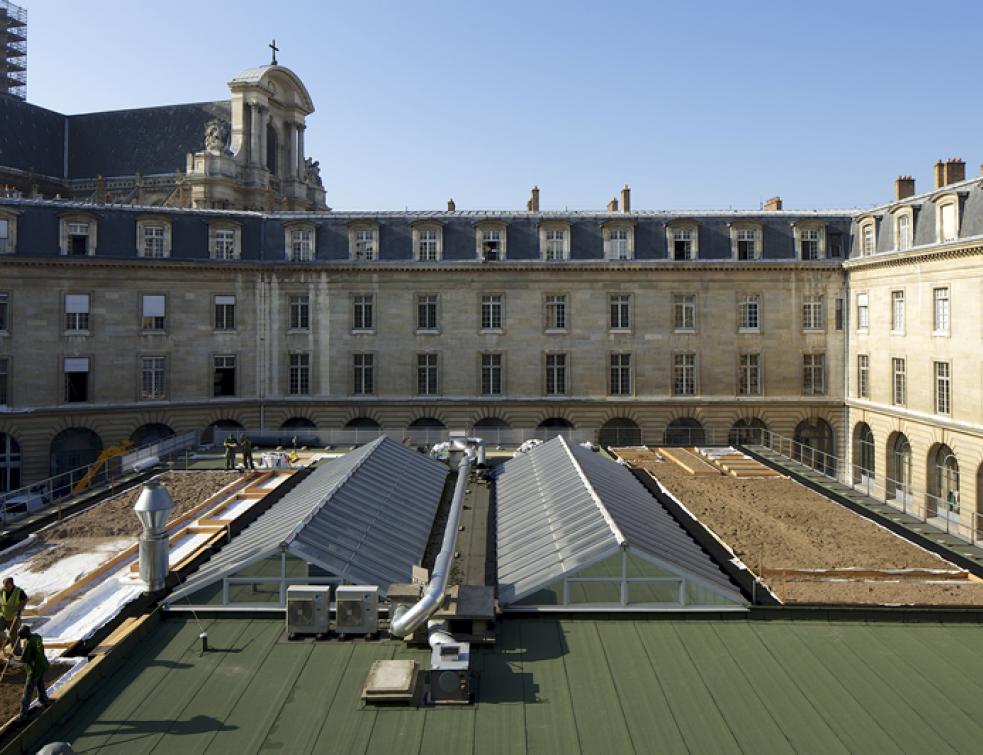 Un potager et bientôt une vigne sur un toit de l'Hôtel de Ville de Paris