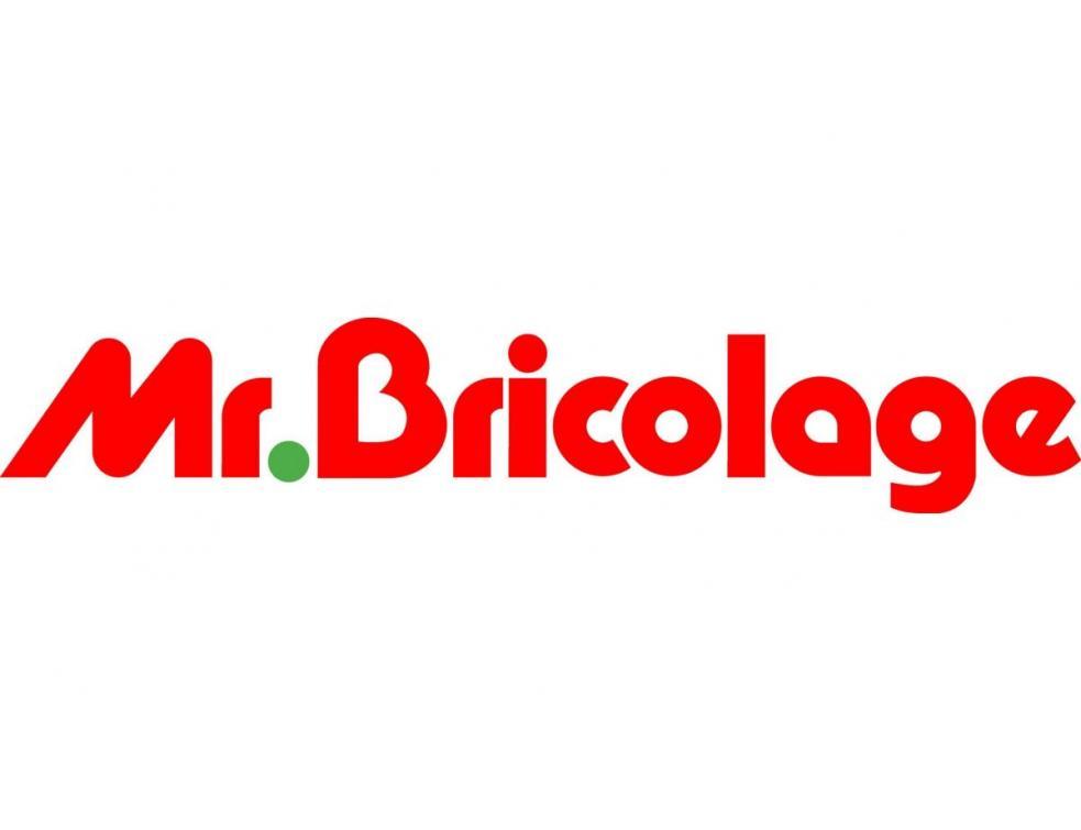 Mr Bricolage voit ses ventes chuter de 10% au premier semestre