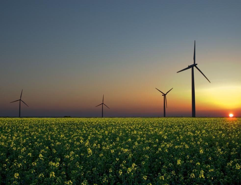 Le chinois CGN veut doubler sa production dans l'éolien en Europe d'ici à 5 ans
