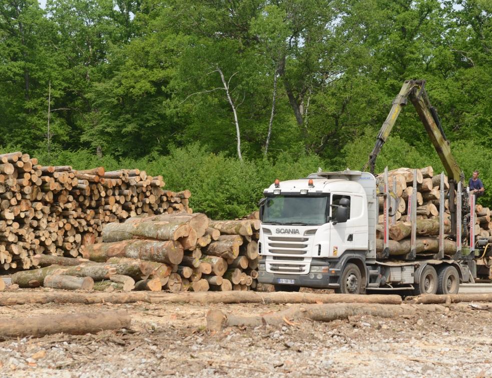La filière bois s'organise pour la REP produits et matériaux de construction du bâtiment
