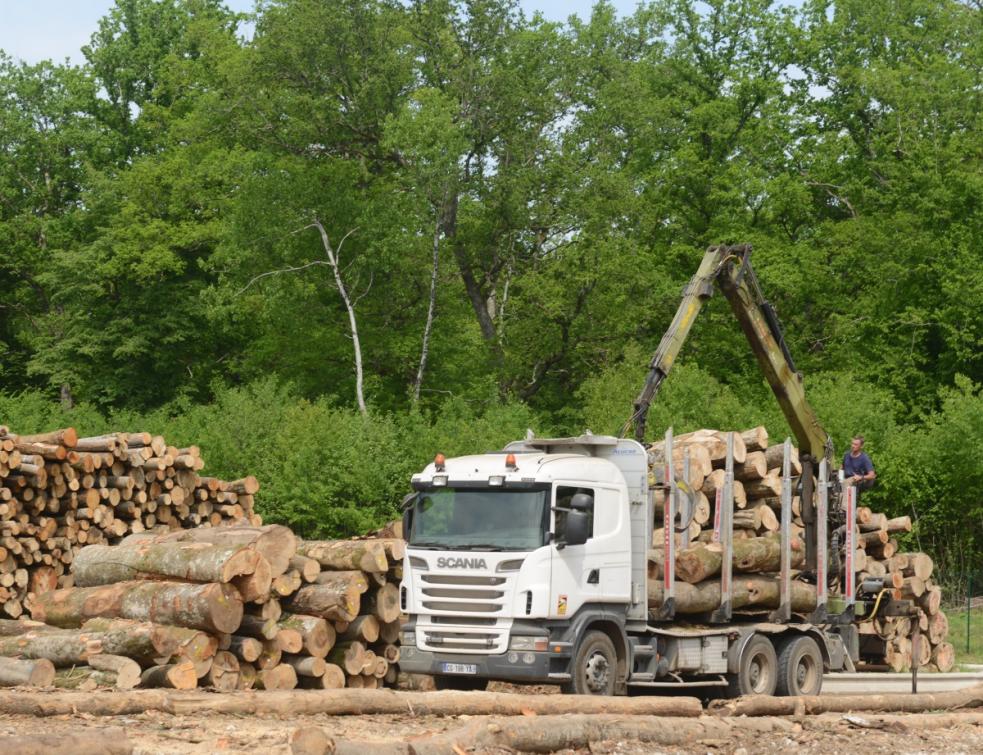 Véhicule pour le transport du bois