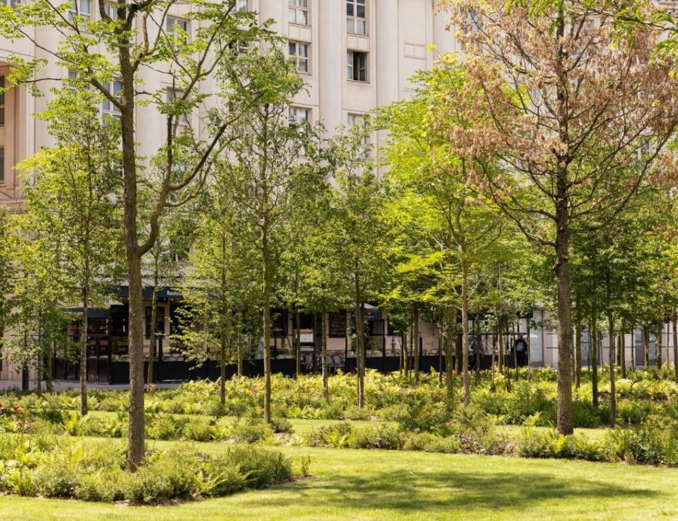 Spie Batignolles Paysage reverdit Paris en y réalisant la première forêt urbaine. © Guillaume Bontemps / Ville de Paris