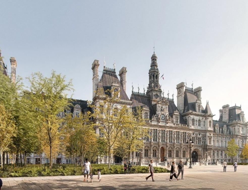 Une forêt urbaine plantée sur le parvis de l'Hôtel de Ville à Paris. © Guillaume Bontemps / Ville de Paris