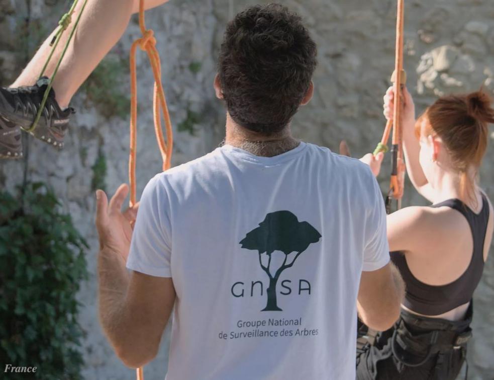 (Groupe National de Surveillance des Arbres. © GNSA