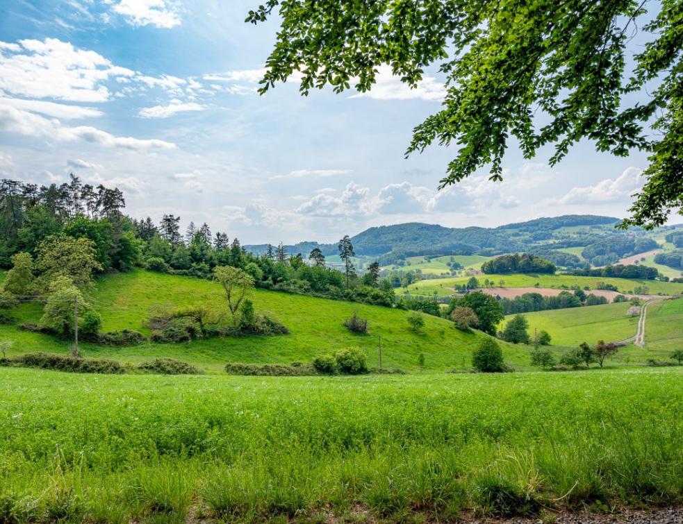En France, la consommation foncière ne cesse de faiblir. © Freepik