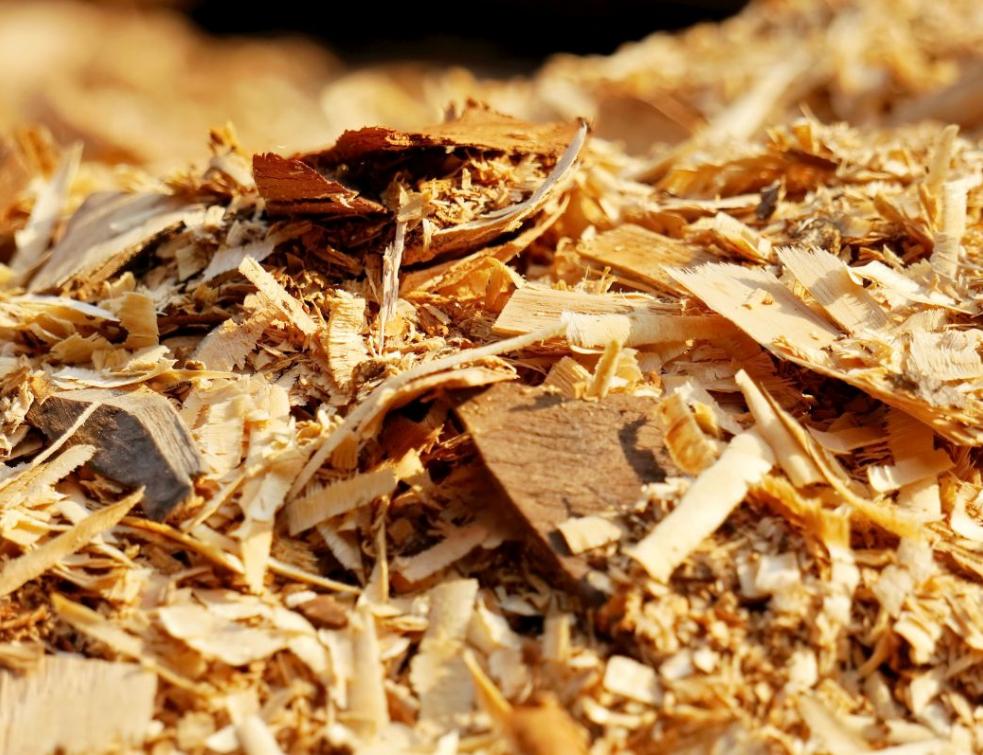 Filière bois-construction : tri, recyclage et valorisation. © Freepik