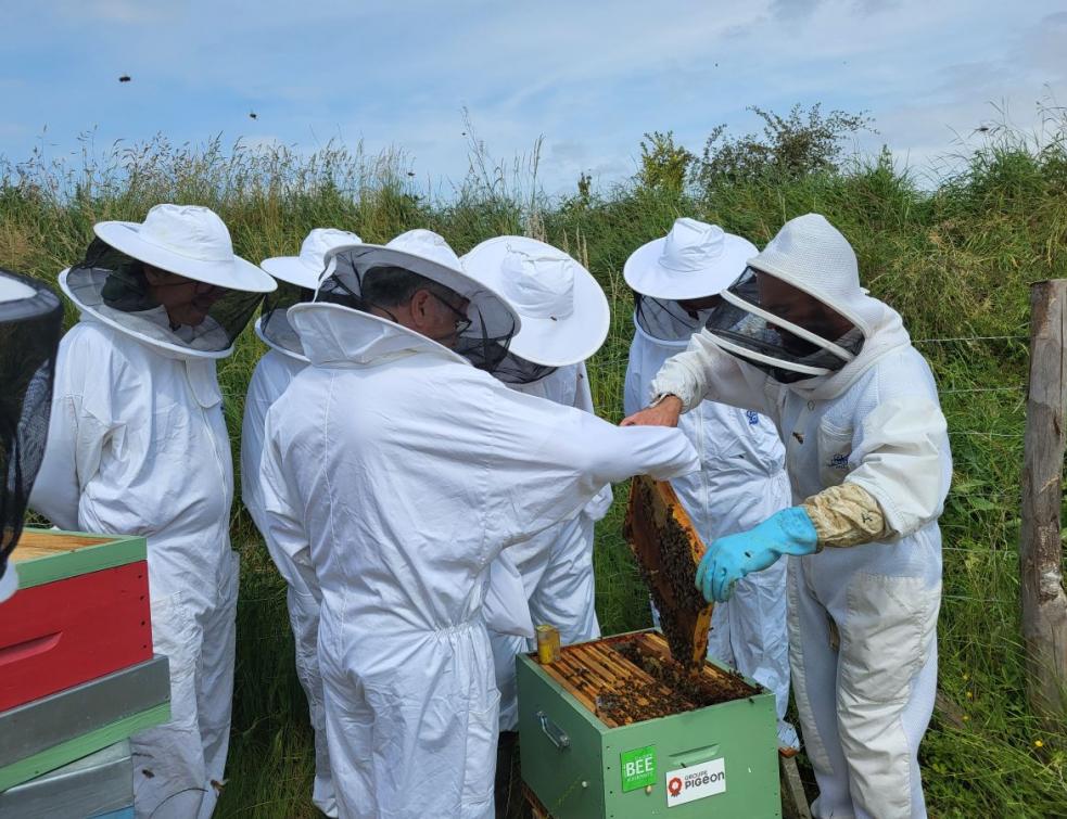 Préserver les pollinisateurs. © UNICEM Pays de la Loire