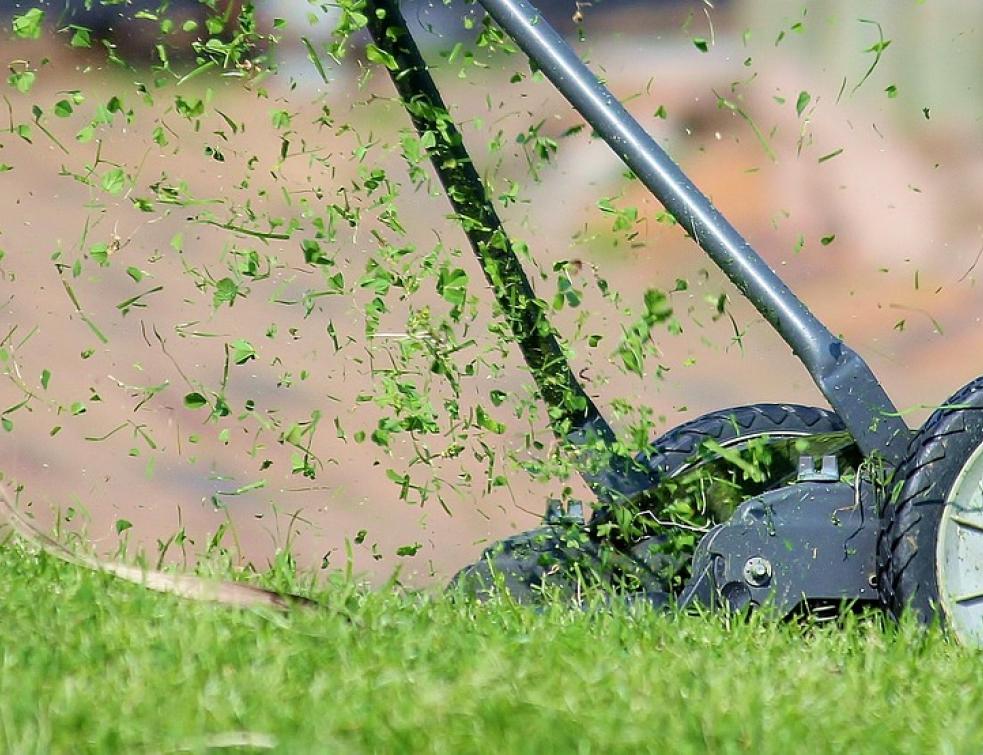 tondeuse à herbe