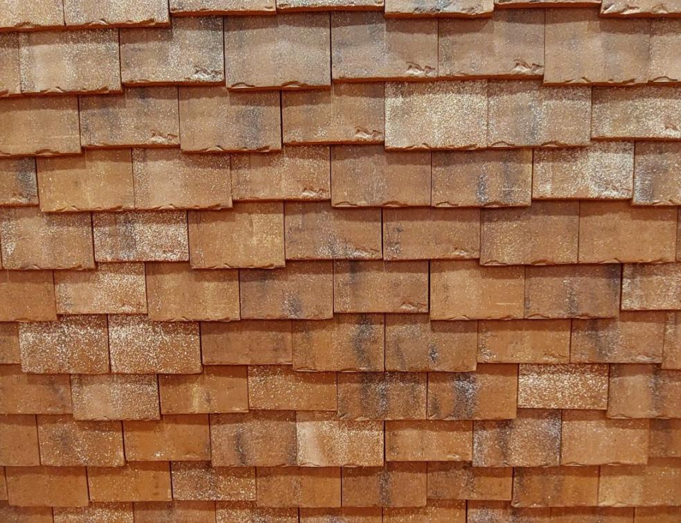 wienerberger initie un plan de compensation écologique inédit pour sa carrière de Chagny. © Laure Pophillat