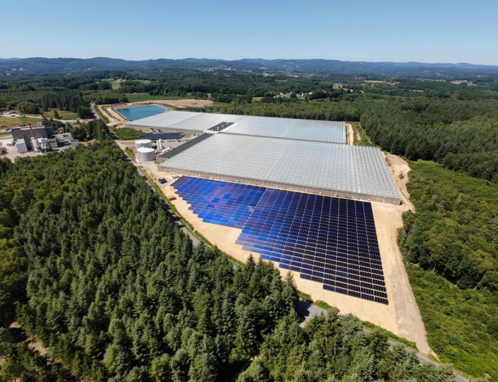 La nouvelle centrale thermique Newheat au premier plan alimente les écoserres 