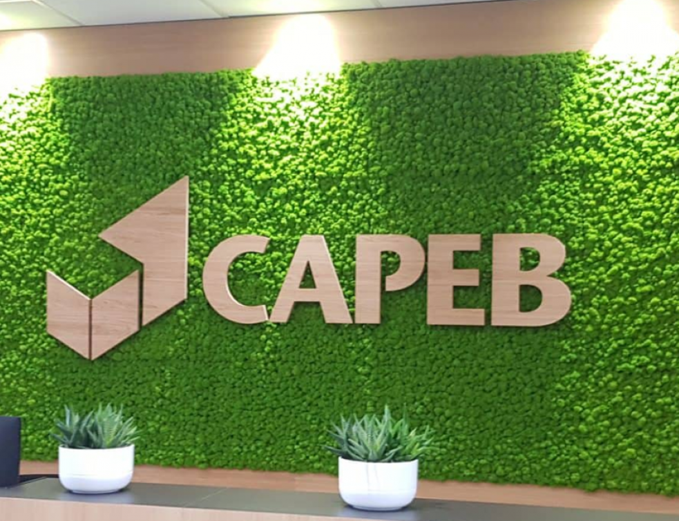 CAPEB : les artisans du bâtiment en ont marre. ©