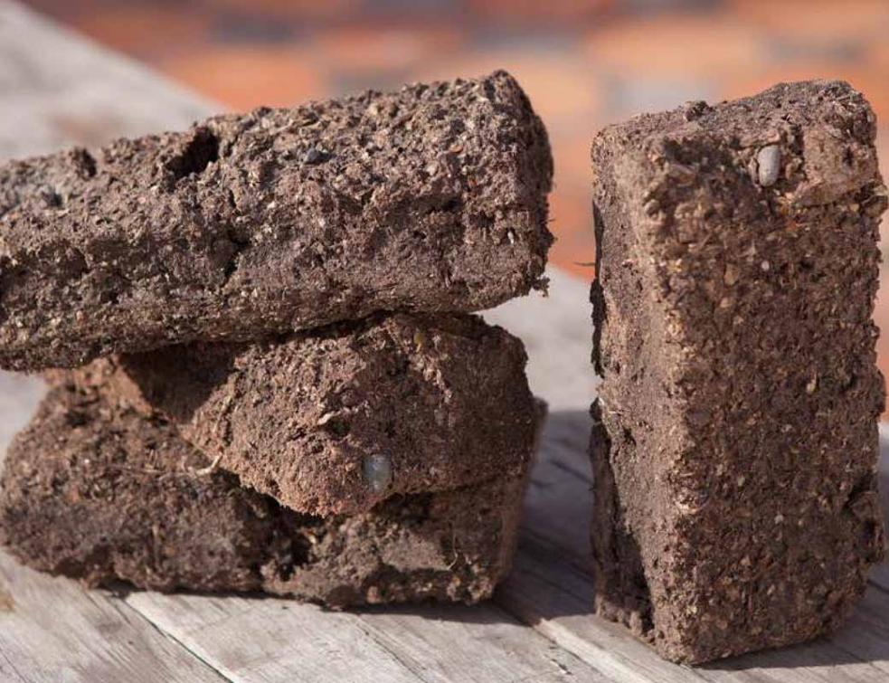 Les bio troncos, des bûches à base de fruits. © Biot Leña de Orujo de Fruta / José Alberto Aramberri (capture d'écran vidéo Facebook)