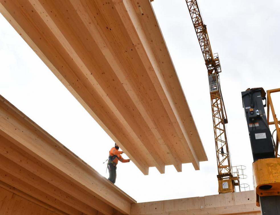 Le CLT montre qu'il a de la ressource et défend sa place de système constructif biosourcé