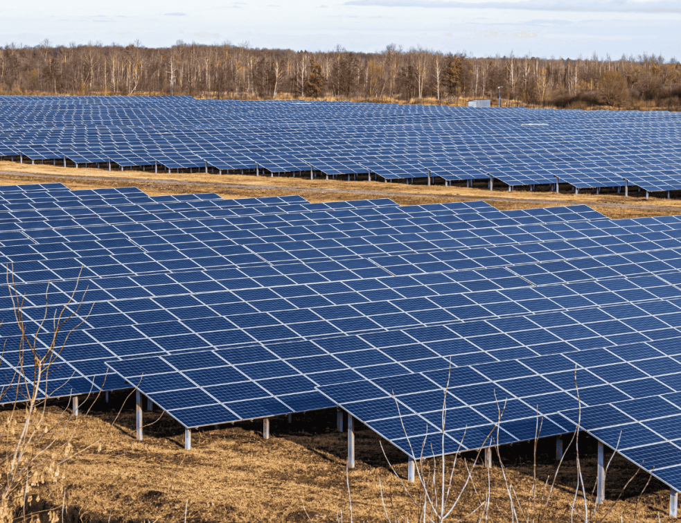 Agrivoltaïsme : protection des récoltes face au climat