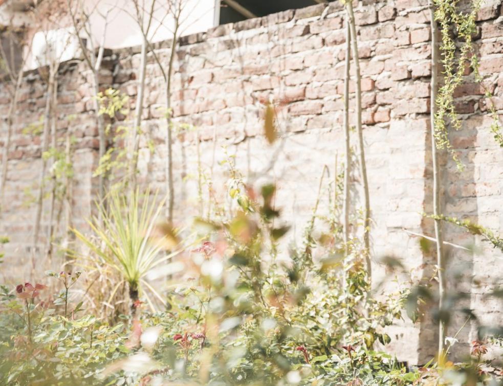 Travaux sur un mur mitoyen : droits et obligations entre voisins. ©