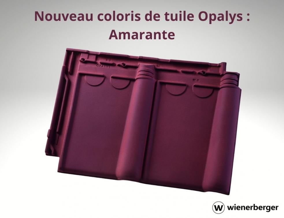 Koramic dévoile Amarante, un nouveau coloris rouge