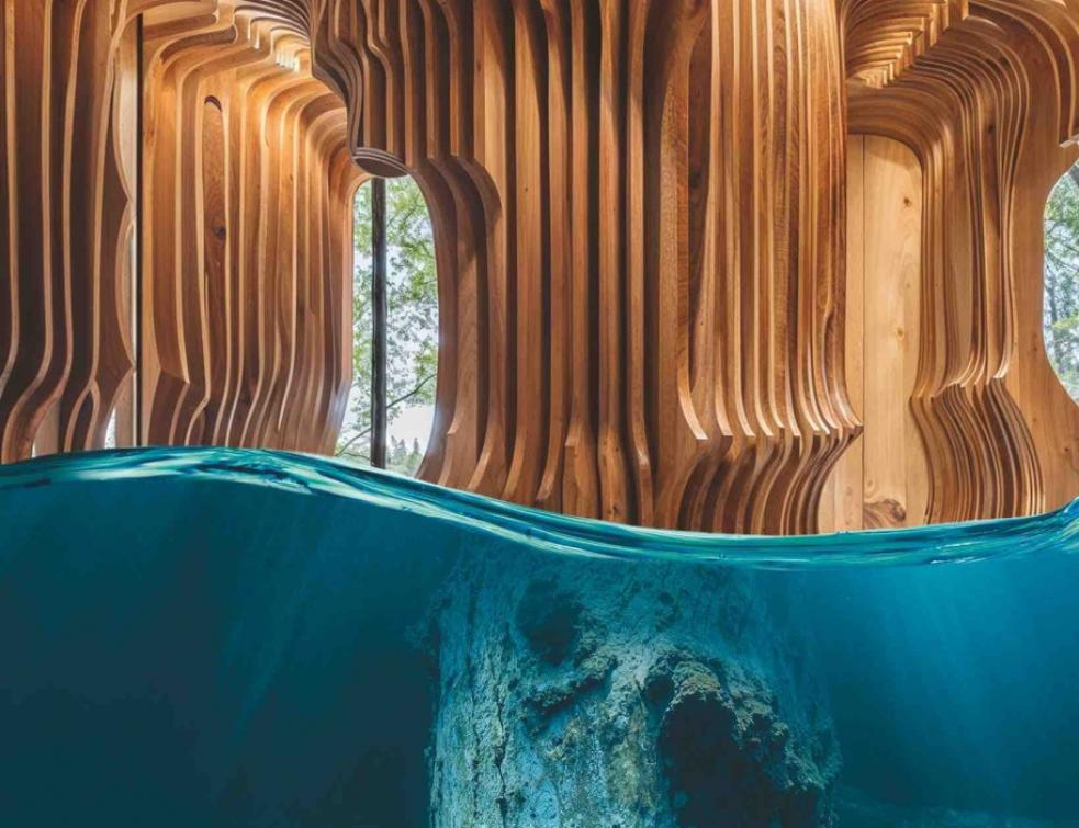 Triton Collections : des bois tropicaux durables, sans déforestation. © Triton