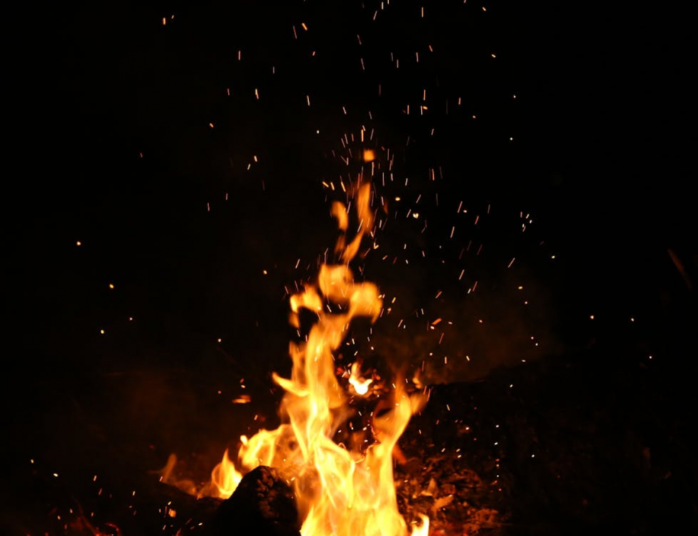 Organisation et logistique