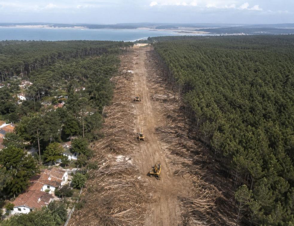 Mégafeu Gironde : plainte sur le pare-feu du Cap-Ferret. © IA / Laure Pophillat